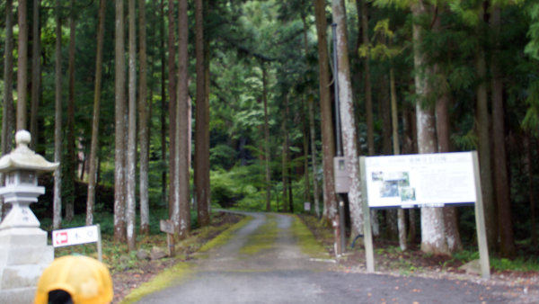 camp29 (187).jpg